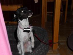 Resize of P1000235.JPG